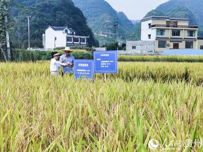 贵州最新疾病概况深度探讨