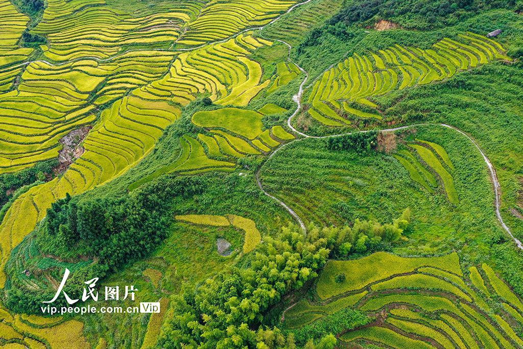 探索未知，喜翻最新，感受新奇喜悦的旅程