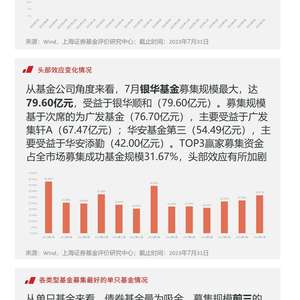 基金市场最新动态，走势分析、投资策略与未来展望