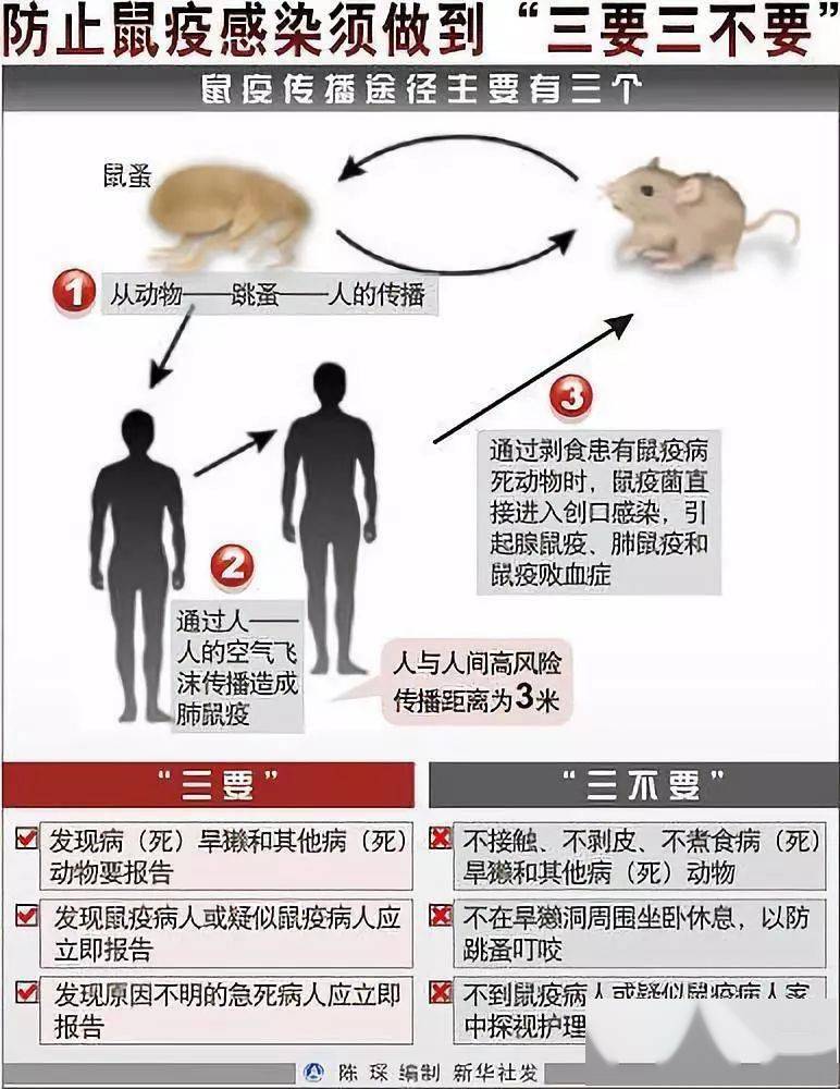 远方的呼唤