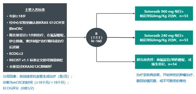 2024新澳精准资料免费提供_效率资料解析实施_精英版83.84.116.147