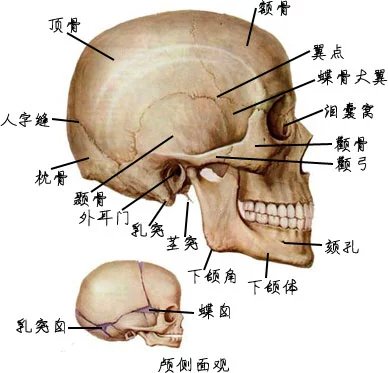 全香港最快最准的资料_准确资料解剖落实_尊贵版253.67.115.46