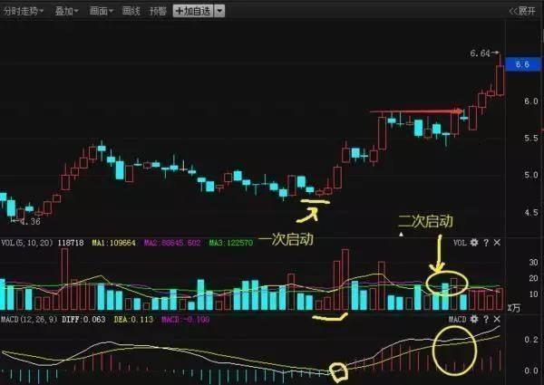 最准一码一肖100%精准老钱庄揭秘,高效分析说明_追忆版42.478