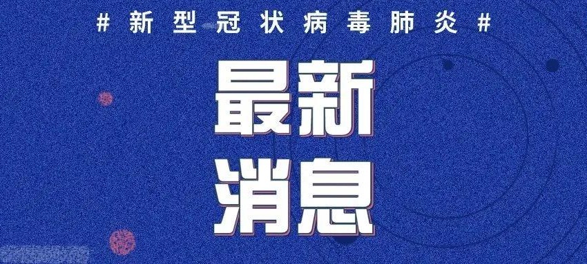 全球抗击新冠疫情的新进展与挑战，最新动态概览