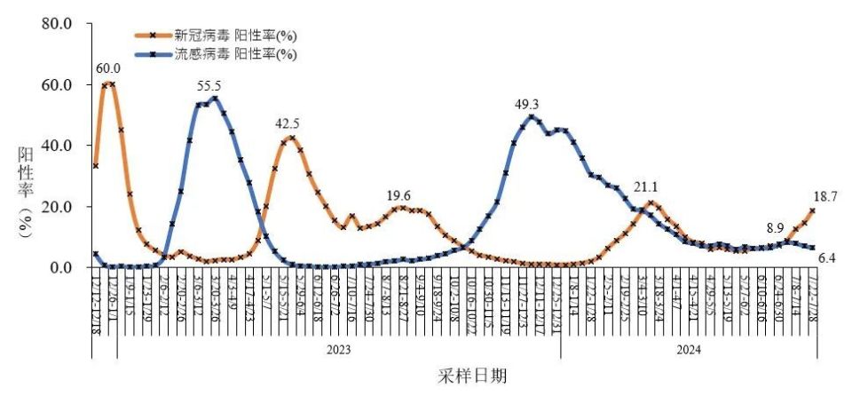 全球病毒最新比例揭示疫情现状与未来趋势展望