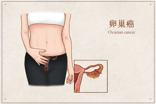 最新疾病症状表现及早期预警信号探索