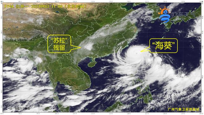 广东直面台风挑战，最新图片，共克时艰