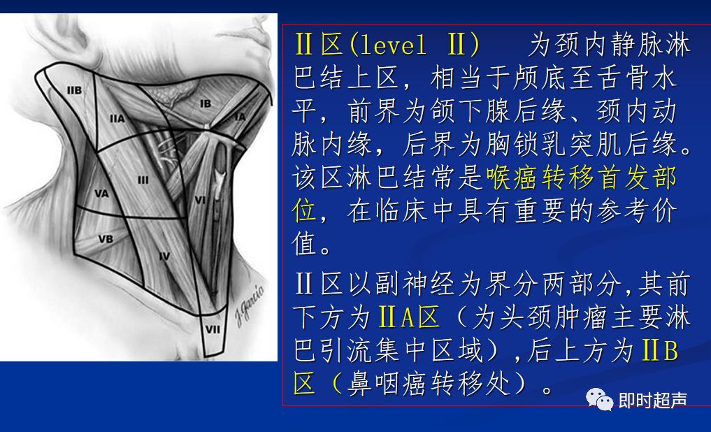 颈部淋巴结分区最新概述及其在临床实践中的应用价值