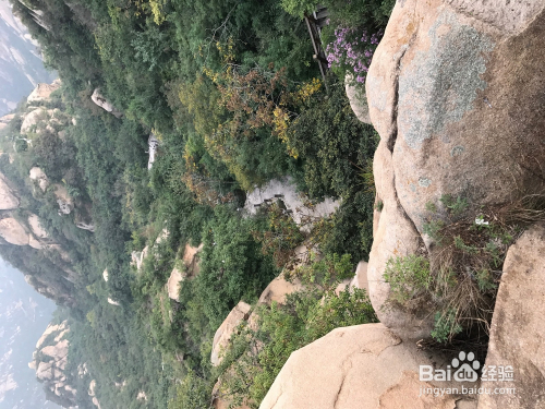 探索未知高峰，最新登山游记揭秘