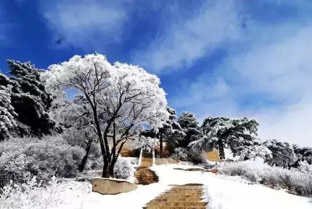 华山旅游最新指南，探索壮丽山川，尽享极致之旅体验