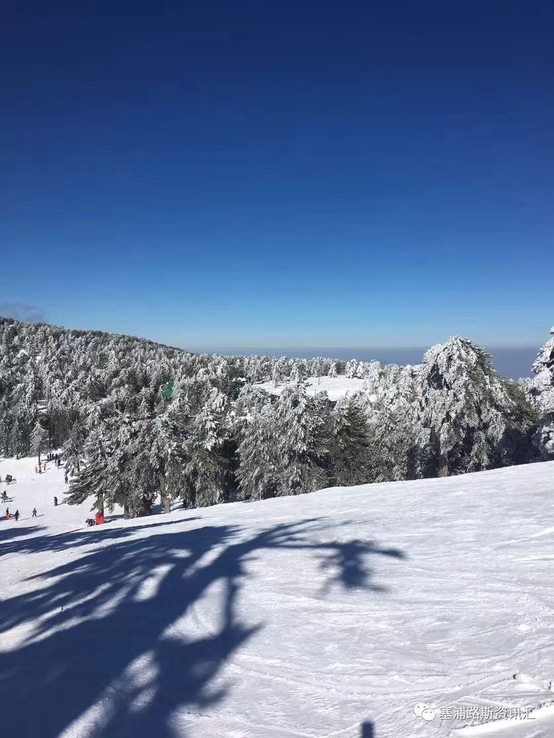 全球雪域奇观，最新下雪资讯与影响分析