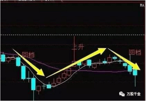 600698最新消息全面解析与解读