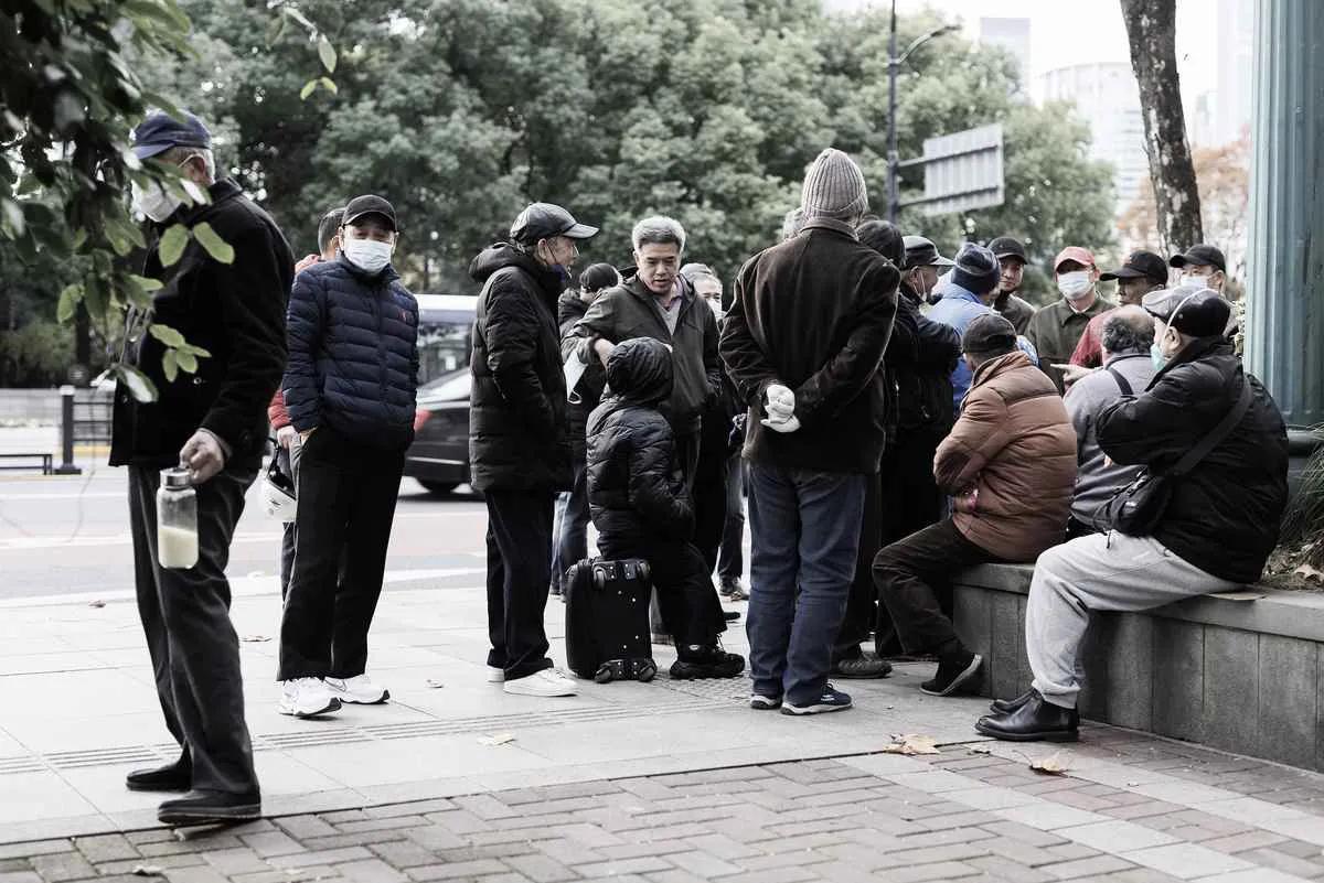 棉花最新政策及其对产业的影响分析