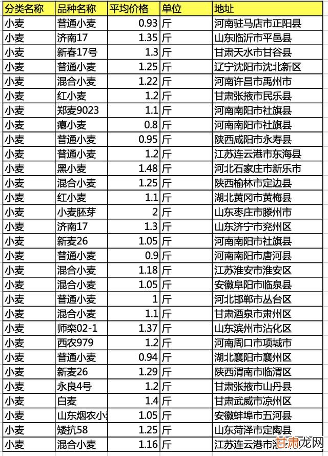 河北小麦价格最新行情解析